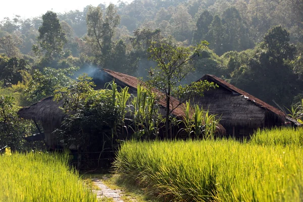 Asien Thailand Chiang Mai Chiang Dao minoritet — Stockfoto