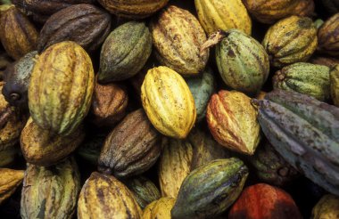 Amerika Küba Baracoa