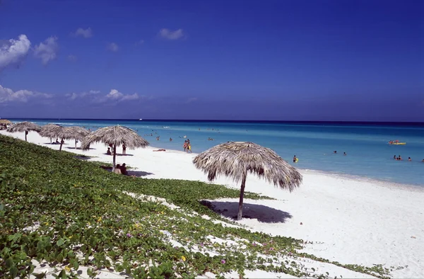 AMERICA KUBA VARADERO BEACH – stockfoto