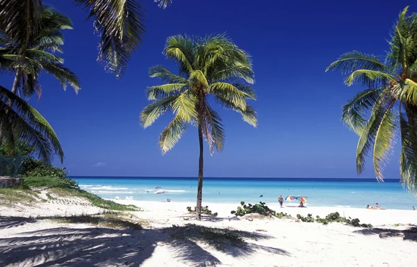 Amerika Kuba Varadero Beach — Stock fotografie