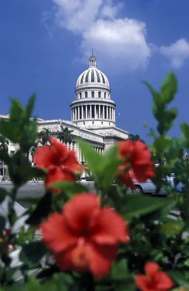 AMERICA CUBA HAVANA — Stock Photo, Image