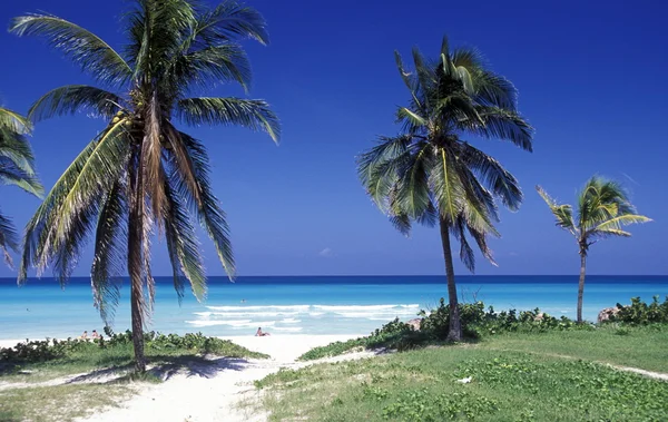 Αμερική Κούβα Varadero παραλία — Φωτογραφία Αρχείου