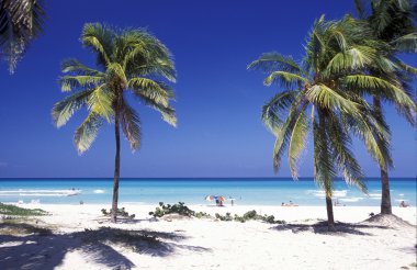 Amerika Küba Varadero Beach
