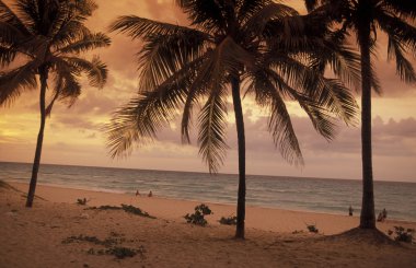 Amerika Küba Varadero Beach