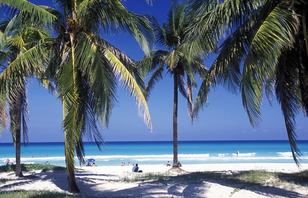 美国古巴的巴拉德罗海滩 — 图库照片
