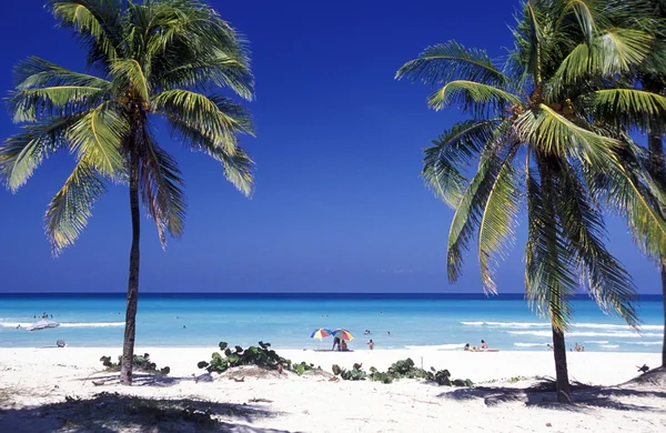 AMERICA CUBA VARADERO PLAYA — Foto de Stock