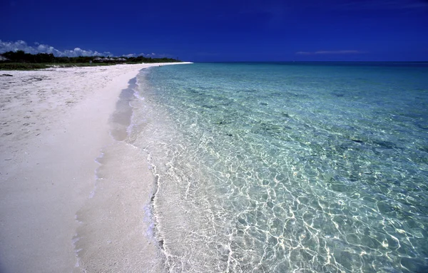 America cuba varadero spiaggia — Foto Stock