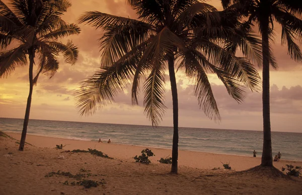 AMERIQUE CUBA VARADERO BEACH — Photo