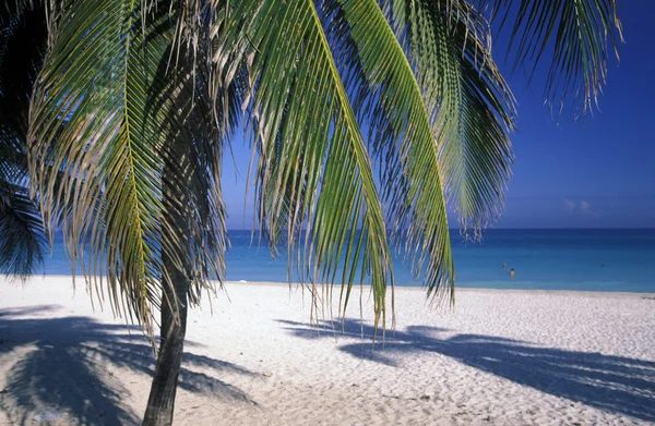 Amerika cuba varadero strand — Stockfoto