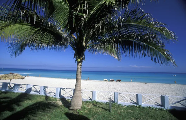 AMERICA CUBA VARADERO PLAYA — Foto de Stock