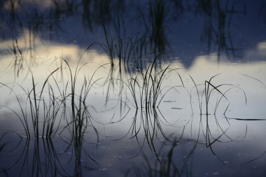 Asya Tayland Isan: Amnat Charoen