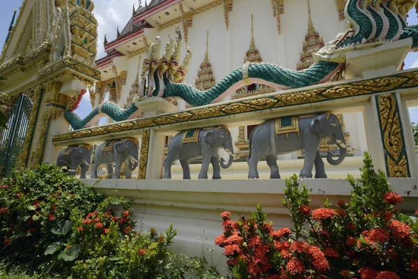 Asie Thajsko Isan Amnat Charoen — Stock fotografie