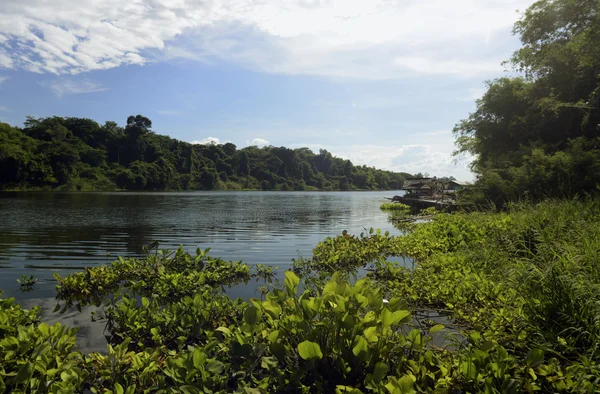 ÁSIA TAILÂNDIA ISAN UBON RATCHATHANI — Fotografia de Stock