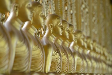 Asya Tayland Isan Roi Et