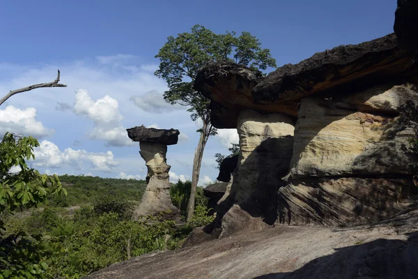 Asya Tayland Isan Ubon Ratchathani — Stok fotoğraf