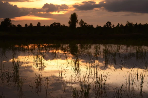 Asya Tayland Isan: Amnat Charoen — Stok fotoğraf