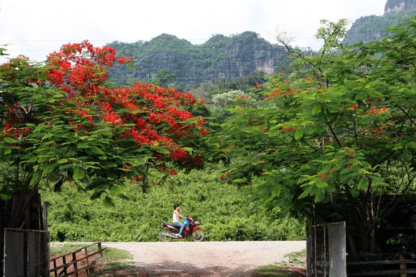 Asya Southeastasia Laos Khammuan bölgesi — Stok fotoğraf