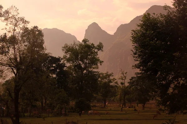 Ázsiai Southeastasia Laosz Khammuan régió — Stock Fotó
