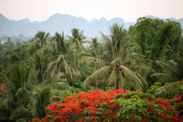 ASIA SUDEASTASIA LAOS REGIONE KHAMMUAN — Foto Stock