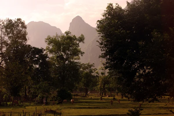 ÁSIA SOUTHEASTASIA REGIÃO DE LAOS KHAMMUAN — Fotografia de Stock