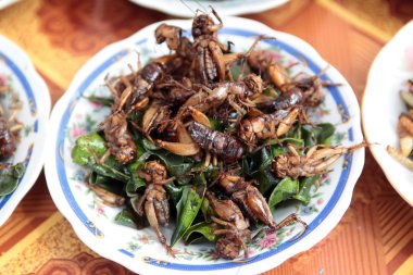 Asya Southeastasia Laos Vientiane