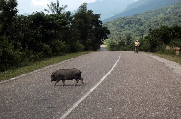 ASIA SOUTHEASTASIA LAOS VANG VIENG LUANG PRABANG — Stock Photo, Image