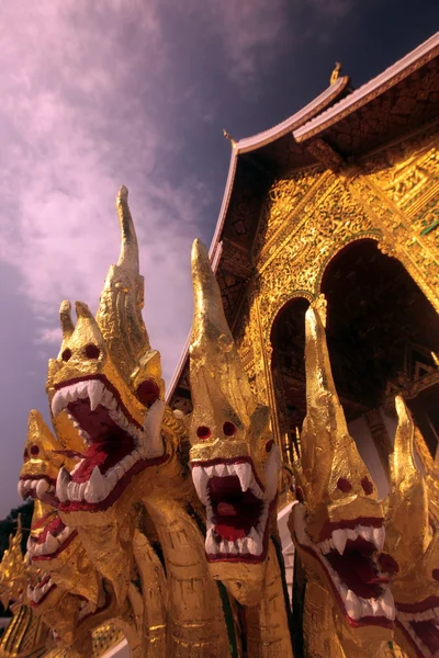 ÁSIA SOUTHEASTASIA LAOS LUANG PRABANG — Fotografia de Stock