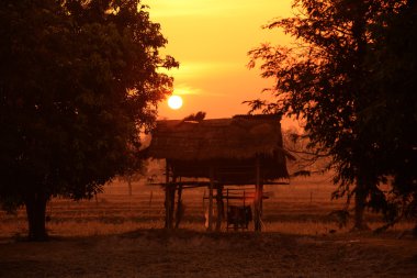 Asya Tayland Isan: Amnat Charoen