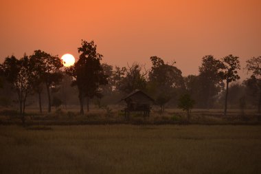 Asya Tayland Isan: Amnat Charoen