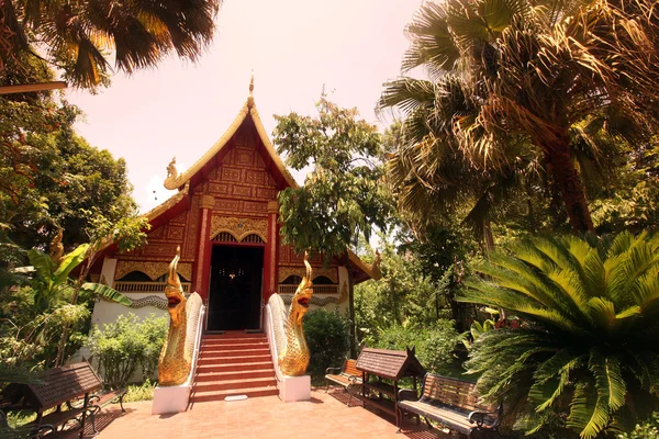 Asia Thailand Chiang Rai — Stockfoto