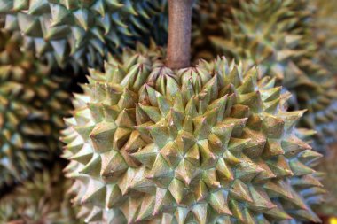 Asya Tayland Isan: Amnat Charoen