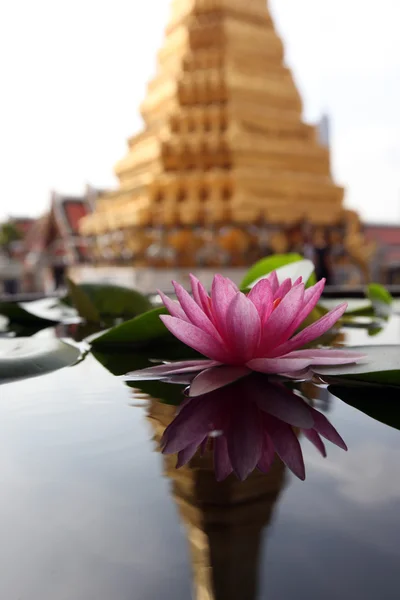 The temple of Wat Phra Kaew in the city of Bangkok — Stock Photo, Image