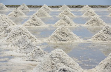 Asya Tayland bangkok 