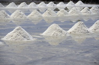 Asya Tayland bangkok 