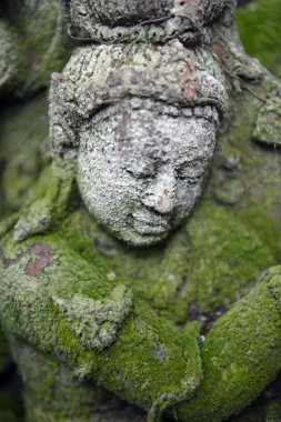 Bahçe ve Buda terracota