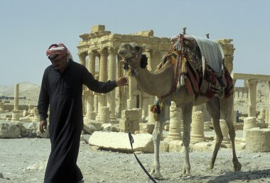 man walking with camel near Roman Ruins clipart
