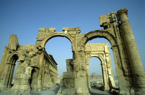 시리아 팔미라 로마 유적 — 스톡 사진