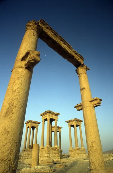 Syrien Palmyra romerska ruiner — Stockfoto