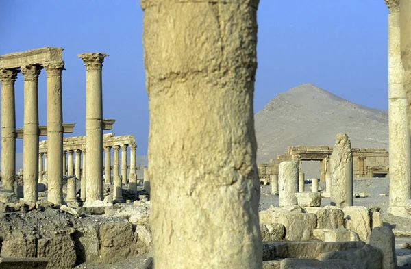 シリアのパルミラのローマ遺跡します。 — ストック写真