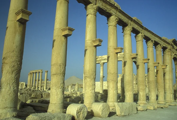 SIRIA PALMYRA RUINAS ROMANAS — Foto de Stock