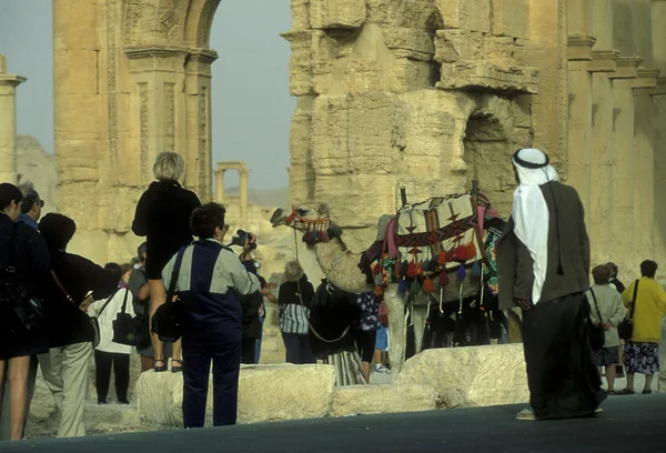 Syrien Palmyra romerska ruiner — Stockfoto