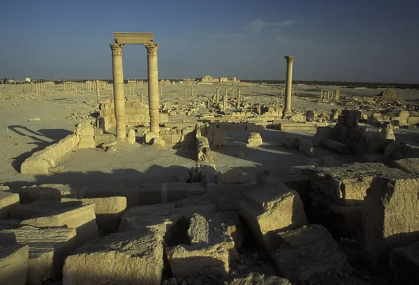 Sýrie Palmyra římské ruiny — Stock fotografie