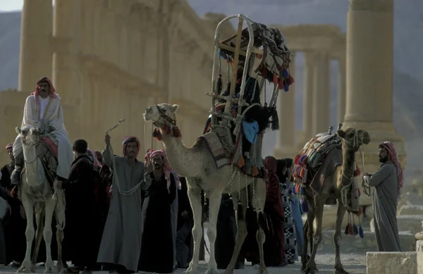 People on camels near Roman Ruins — Stock Photo, Image