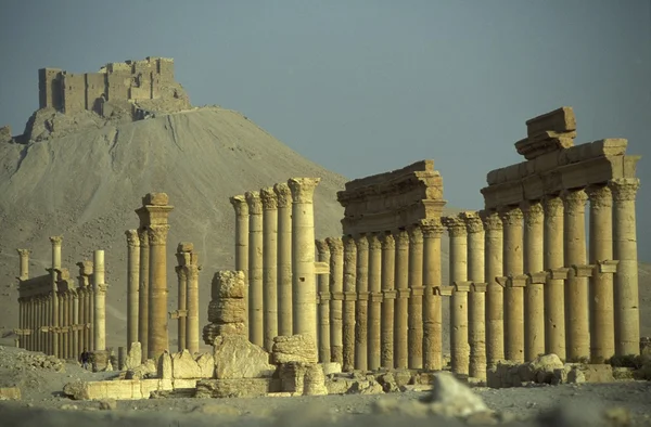 Syrië Palmyra Romeinse ruïnes — Stockfoto