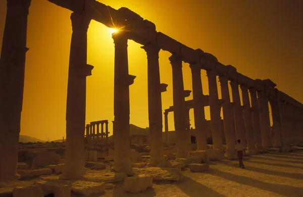 Sýrie Palmyra římské ruiny — Stock fotografie