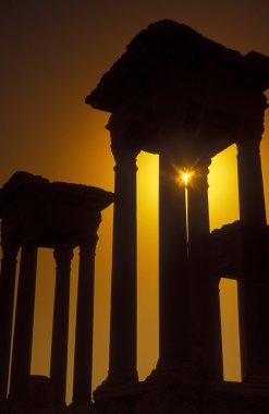 Suriye Palmyra Roma harabeleri