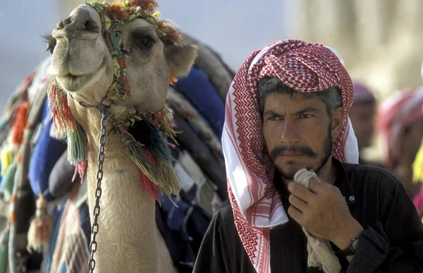 Man with camel at the Roman Ruins — ストック写真