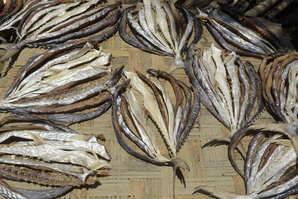 Asie Myanmar Myeik suché rybí produkce — Stock fotografie