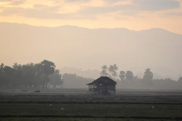 ASIE MYANMAR MYEIK PADSCAPE — Photo