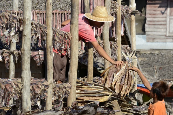 Asien myanmar myeik Trockenfischproduktion — Stockfoto
